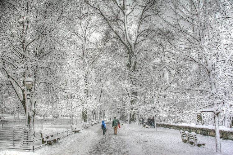 Picture of RIVERSIDE PARK SNOW WALK