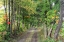 Picture of CARRIAGE PATH