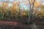 Picture of LATE AFTERNOON ON THE RIDGE