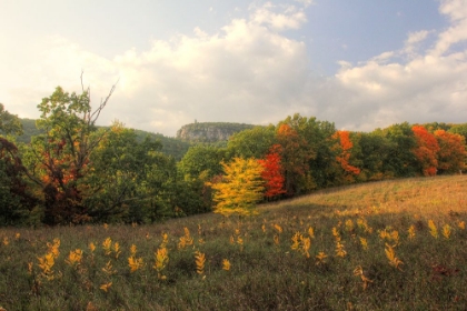 Picture of MOHONK AUTUMN