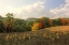Picture of MOHONK AUTUMN
