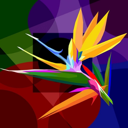 Picture of BIRD OF PARADISE 001
