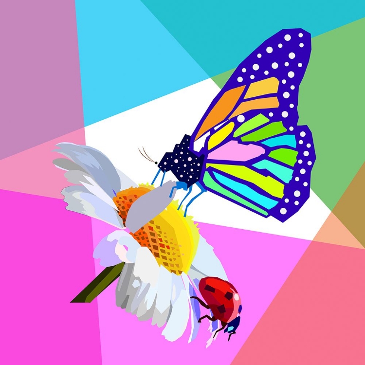 Picture of BUTTERFLY