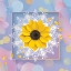 Picture of GET HAPPY