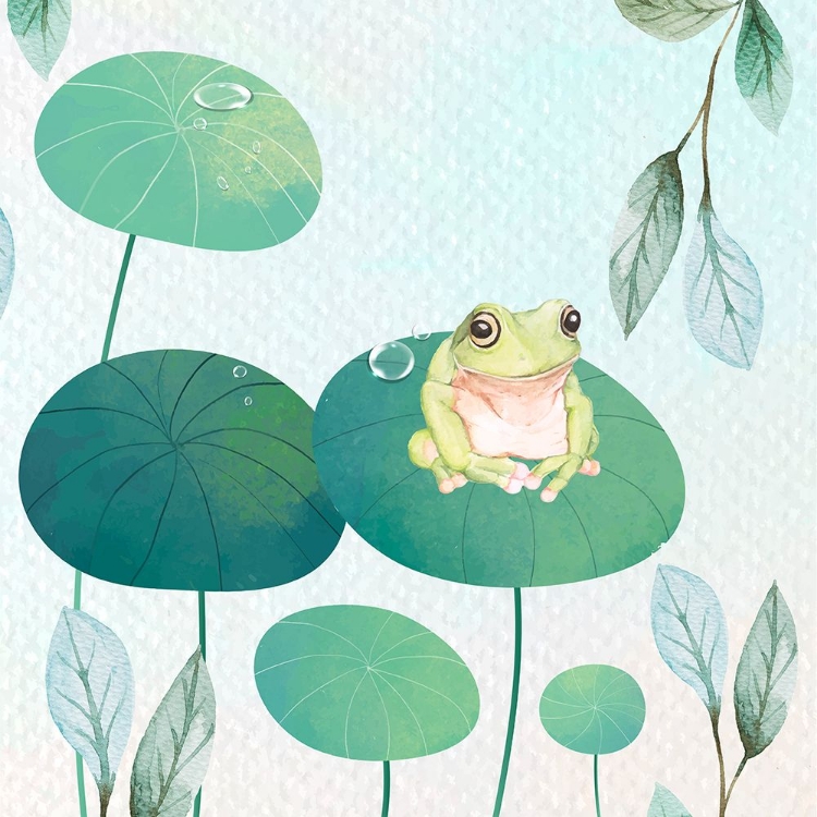 Picture of RAINFOREST RIBBIT