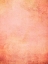 Picture of PEACH PERSUASION