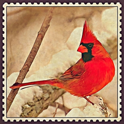 Picture of CARDINAL POSTAGE STAMP