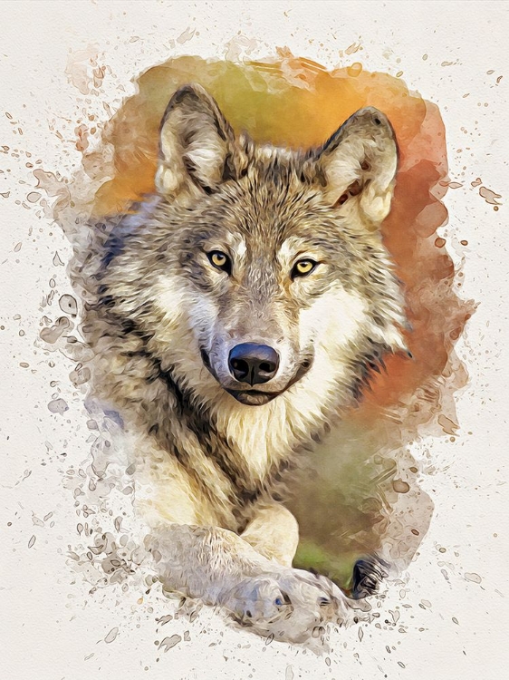 Picture of GRAY WOLF