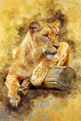 Picture of LIONESS