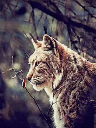 Picture of LYNX