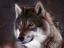 Picture of MIDNIGHT WATCHER