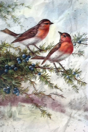 Picture of WINTER ROBINS