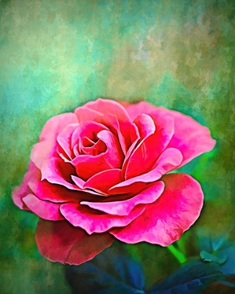 Picture of EXQUISITE PINK ROSE