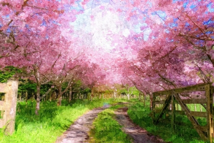Picture of CHERRY BLOSSOM LANE