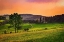 Picture of EVENING PASTURE
