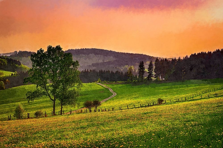 Picture of EVENING PASTURE