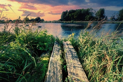 Picture of EVENING SWIM