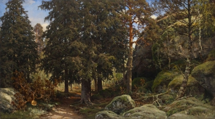 Picture of FOREST INTERIOR
