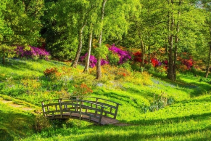 Picture of GARDEN FOOTPATH BRIDGE