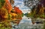 Picture of LAKESIDE AUTUMN TREES