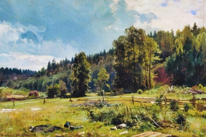 Picture of MEADOW AT THE FOREST EDGE