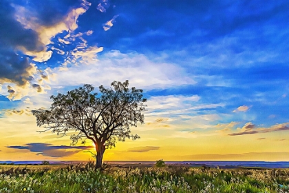 Picture of SOLITARY TREE AT SUNDOWN