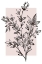 Picture of BOTANICAL BRANCH
