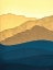 Picture of GOLDEN HILLS AND SHADOWED FORESTS I