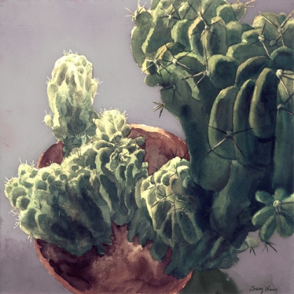 Picture of CACTUS