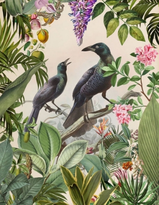 Picture of THE BIRDS HIDDEN PARADISE