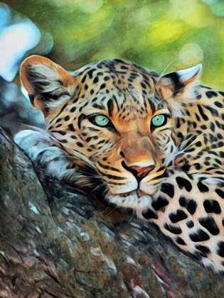Picture of LEOPARD OF LEISURE