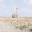 Picture of CHURCH IN THE FIELD