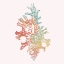 Picture of BAHAMA SHELL I