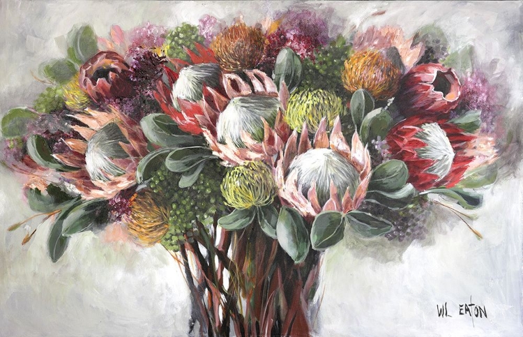 Picture of PROTEAS