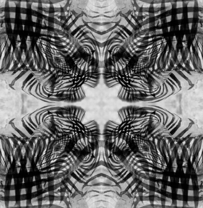 Picture of BLACK AND WHITE KALEIDOSCOPE ABSTRACT OF A ZEBRA