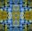 Picture of BLUE AND YELLOW ABSTRACT