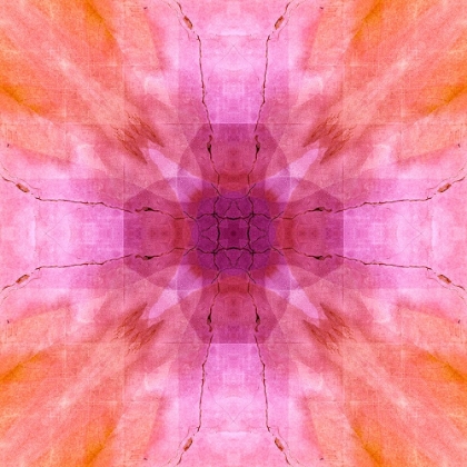 Picture of PINK AND ORANGE ABSTRACT