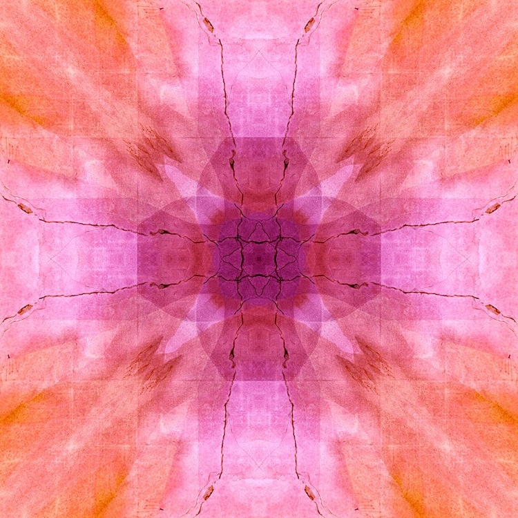 Picture of PINK AND ORANGE ABSTRACT