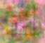 Picture of COLORFUL FLORAL ABSTRACT