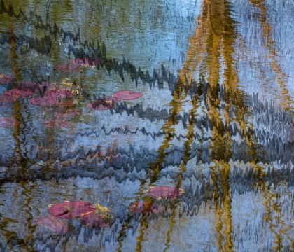 Picture of LILY POND REFLECTION ABSTRACT