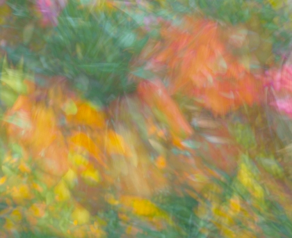 Picture of PASTEL COLOR ABSTRACT