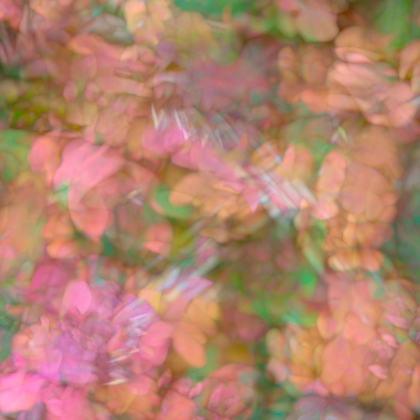 Picture of PINK-ORANGE AND GREEN FLORAL MONTAGE ABSTRACT