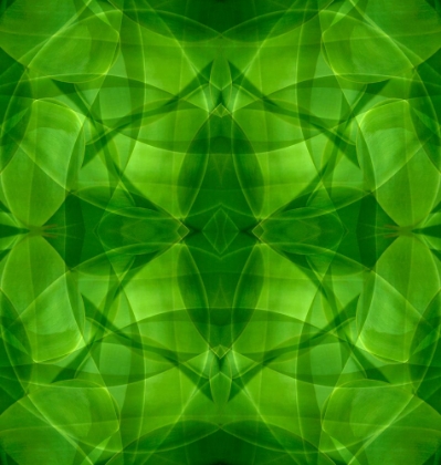 Picture of GREEN KALEIDOSCOPE ABSTRACT