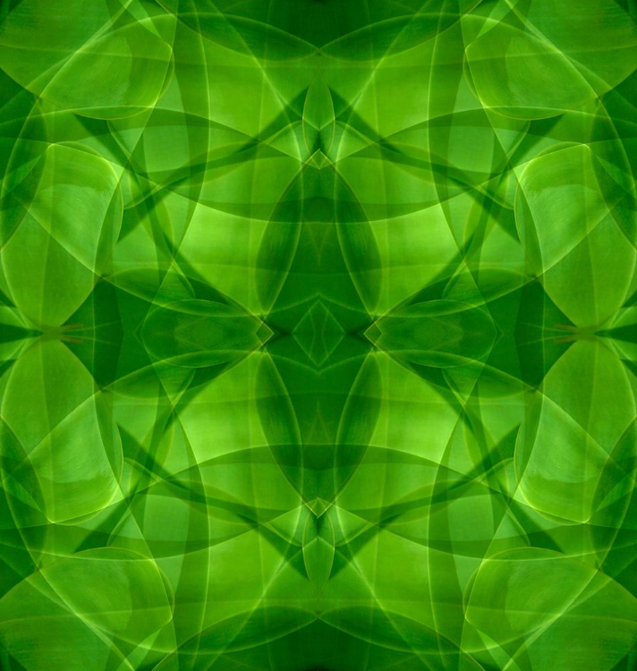 Picture of GREEN KALEIDOSCOPE ABSTRACT