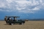 Picture of AFRICA-KENYA-OL PEJETA CONSERVANCY-SAFARI JEEP WITH SOUTHERN WHITE RHINOCEROS-CERATOTHERIUM SIMUM