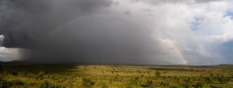 Picture of A RAINBOW OVER THE SAVANNAH-TSAVO-KENYA
