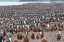 Picture of SOUTHERN OCEAN-SOUTH GEORGIA-ST-ANDREWS BAY-