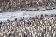 Picture of SOUTHERN OCEAN-SOUTH GEORGIA-ST-ANDREWS BAY-PENGUINS