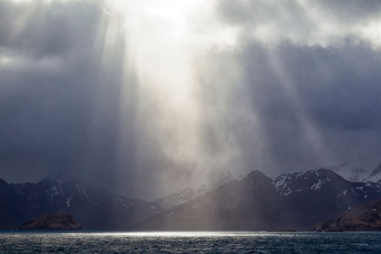 Picture of SOUTHERN OCEAN-SOUTH GEORGIA-KING EDWARD COVE-GRYTVIKEN