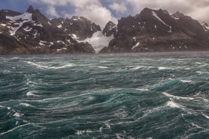 Picture of SOUTHERN OCEAN-SOUTH GEORGIA-DRYGALSKI FJORD